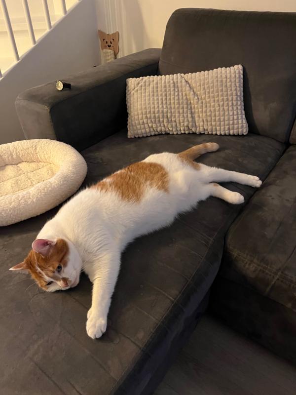 Max