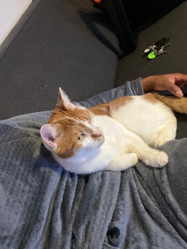 Max