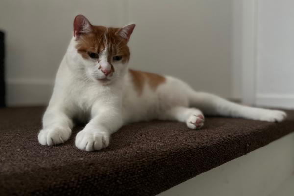 Max