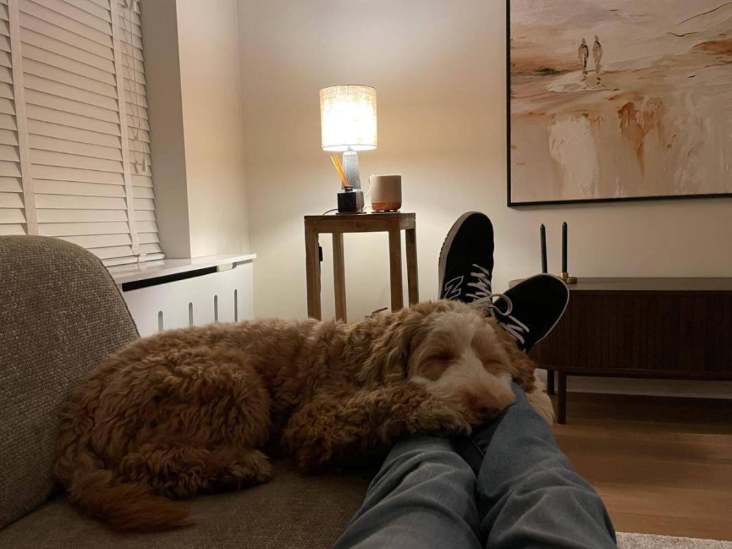 Cooper