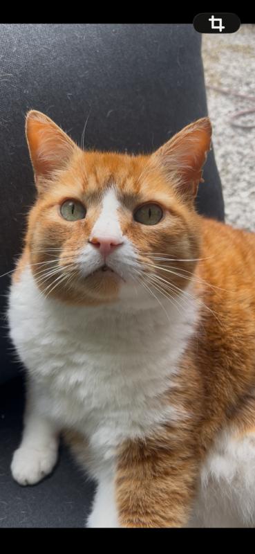 Max