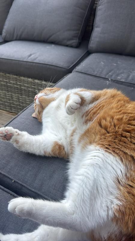 Max