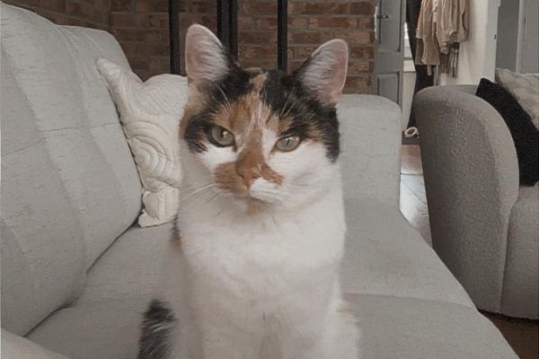 Mimi