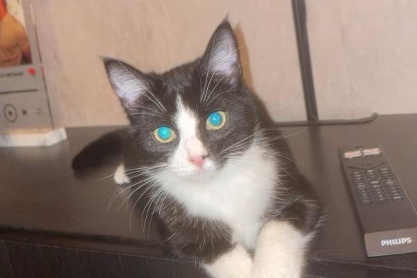 Molly
