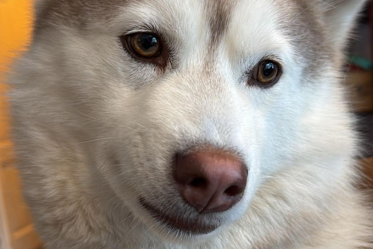 Kita