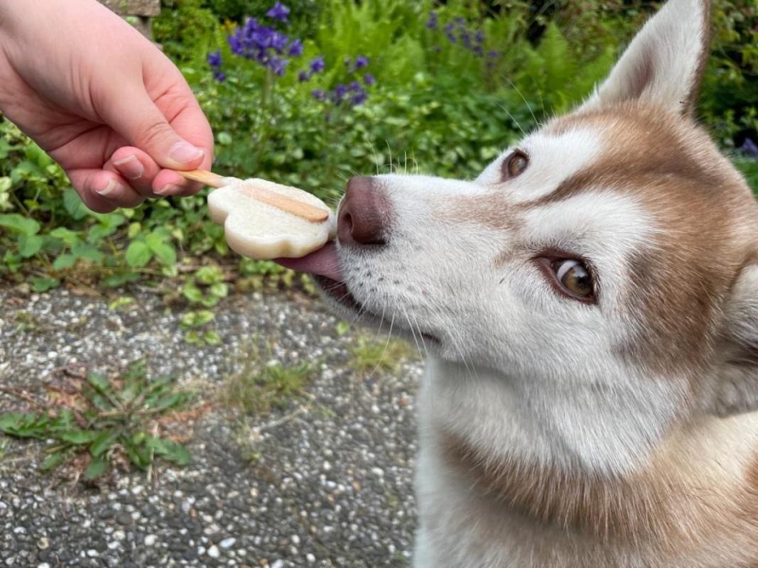Kita