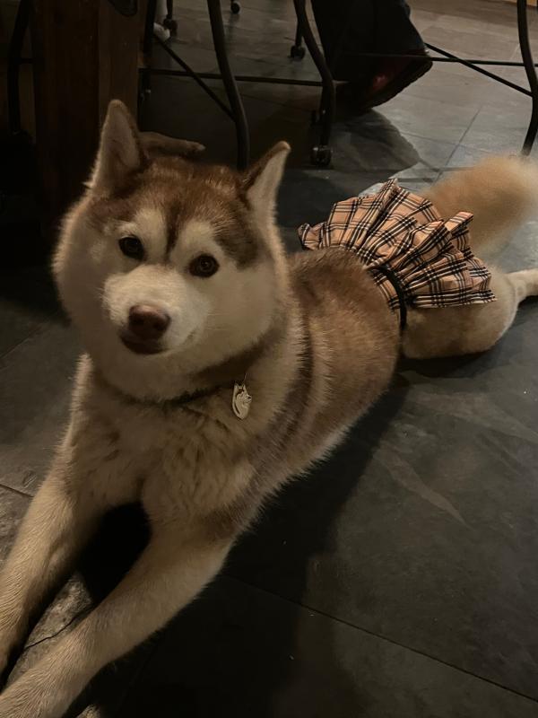 Kita