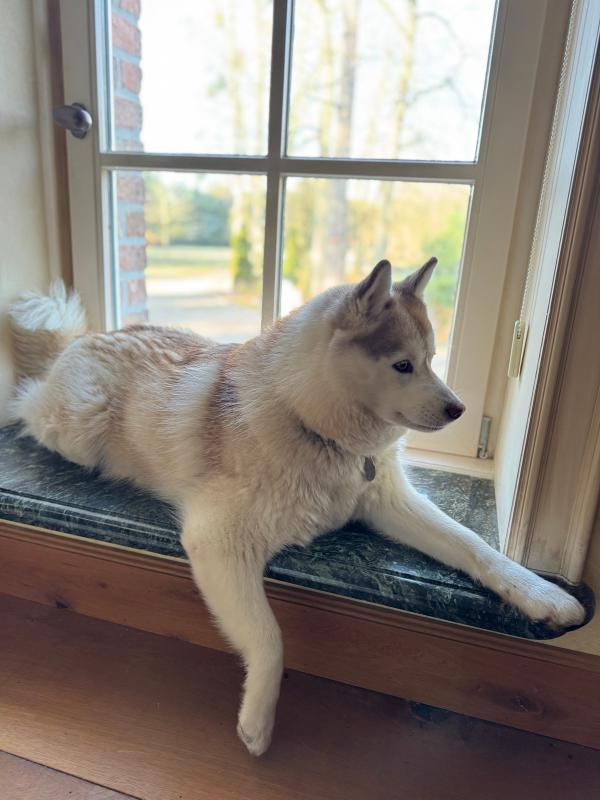 Kita