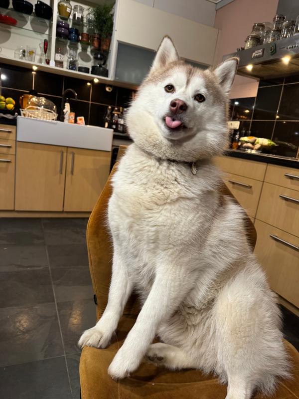 Kita