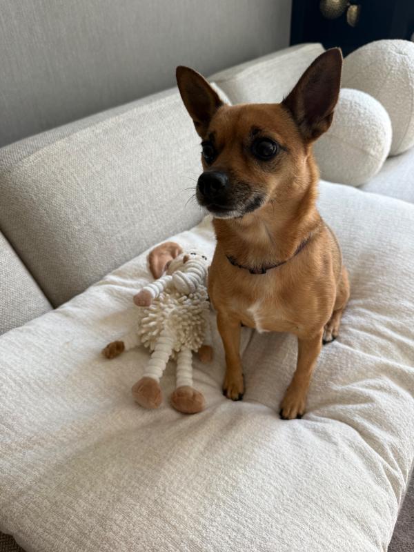 Bowie