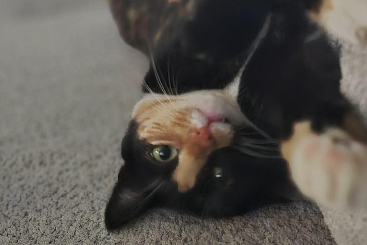 Luna