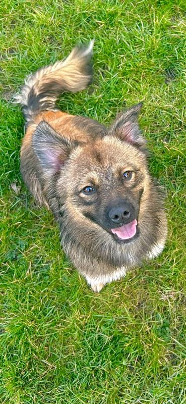 Kiko