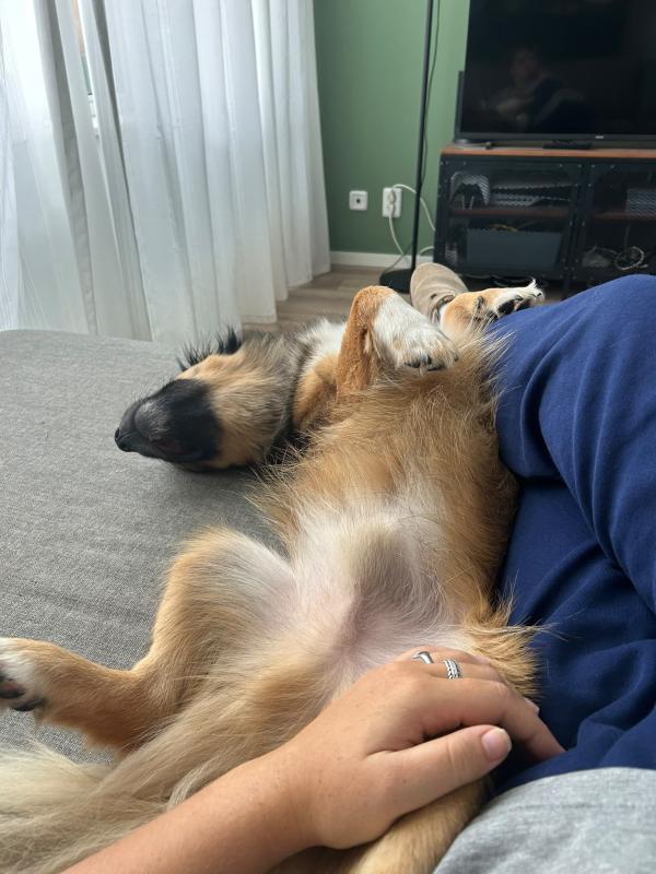 Kiko