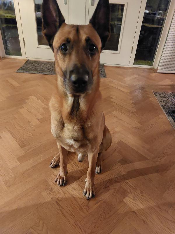 Caesar