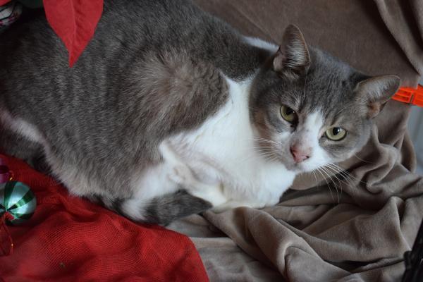 Charlie