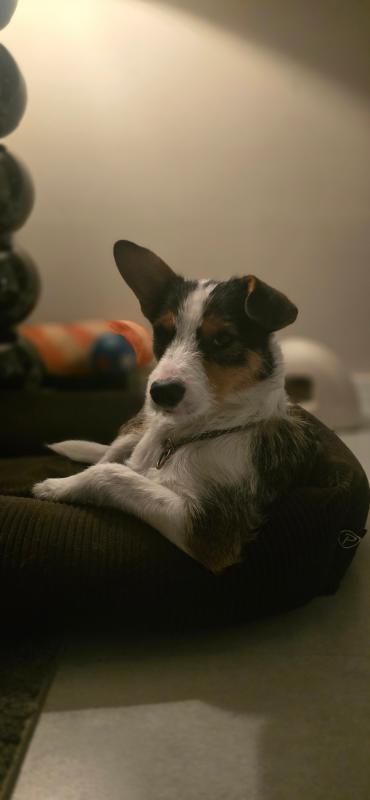 Eddie
