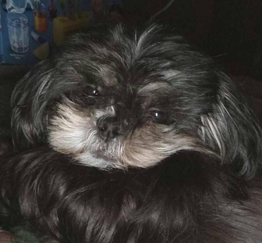 Lilly