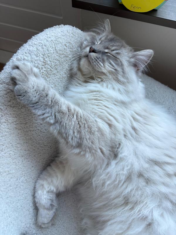 Snowie