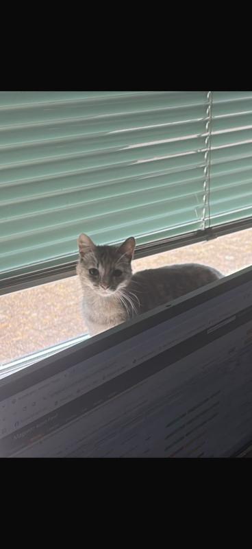 Sammie