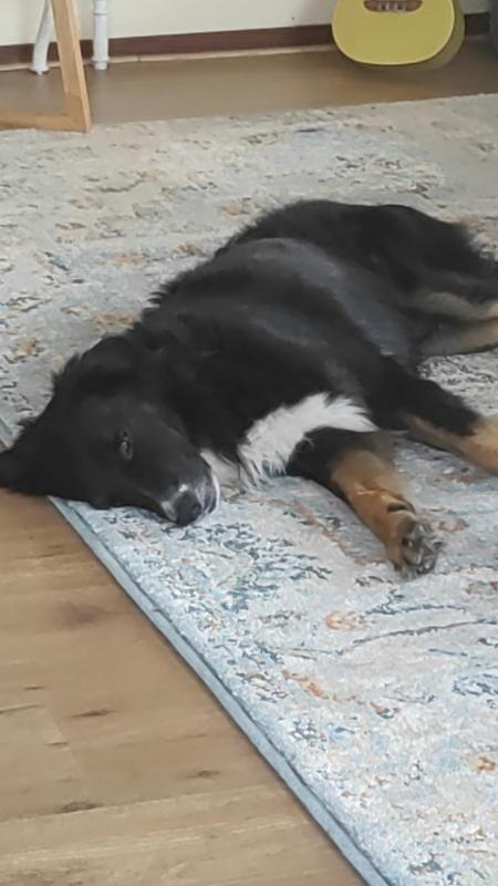 Toto