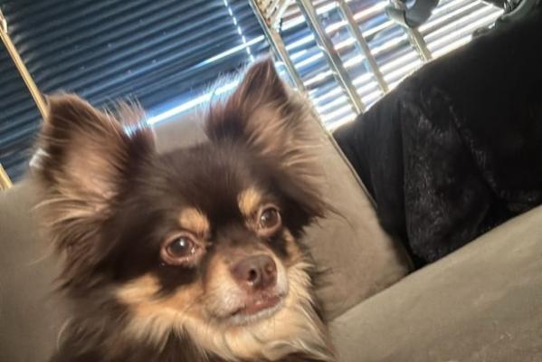 Bailey