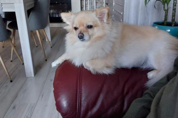 Coco