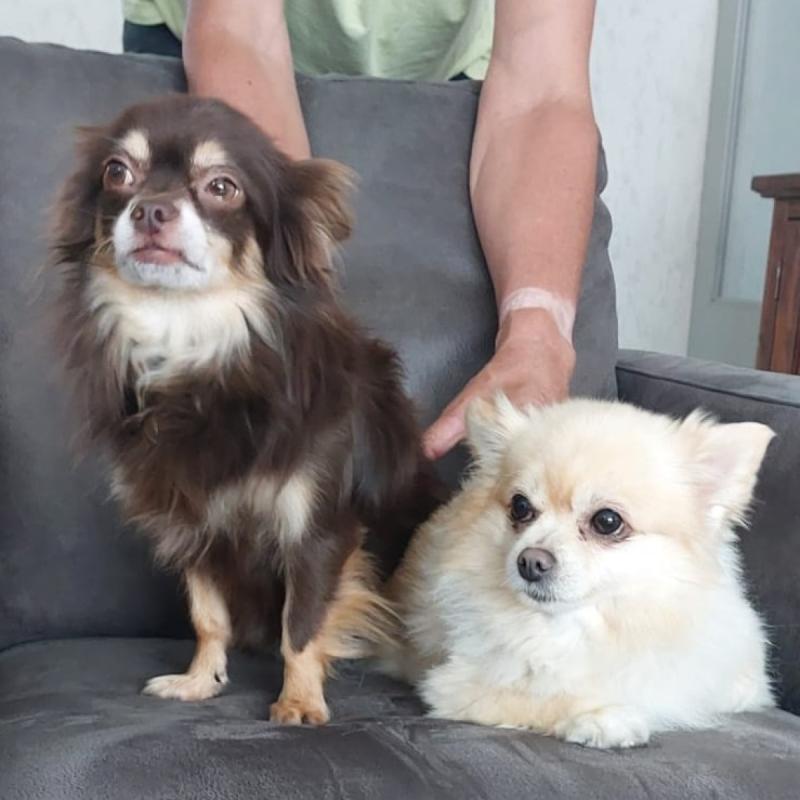 Coco