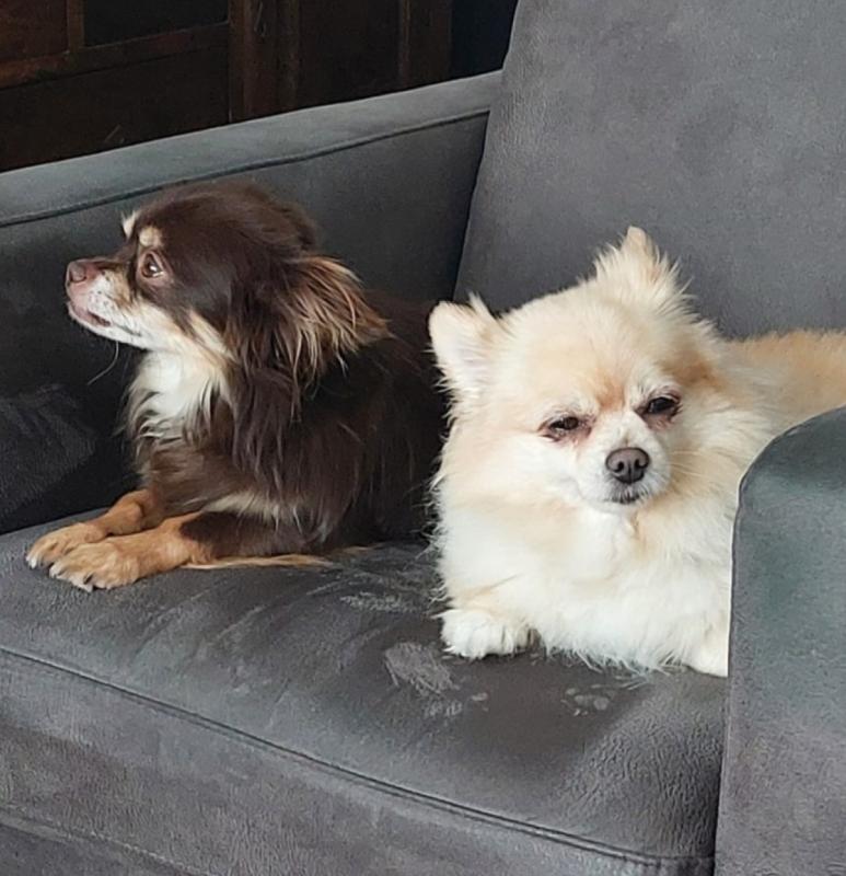 Coco