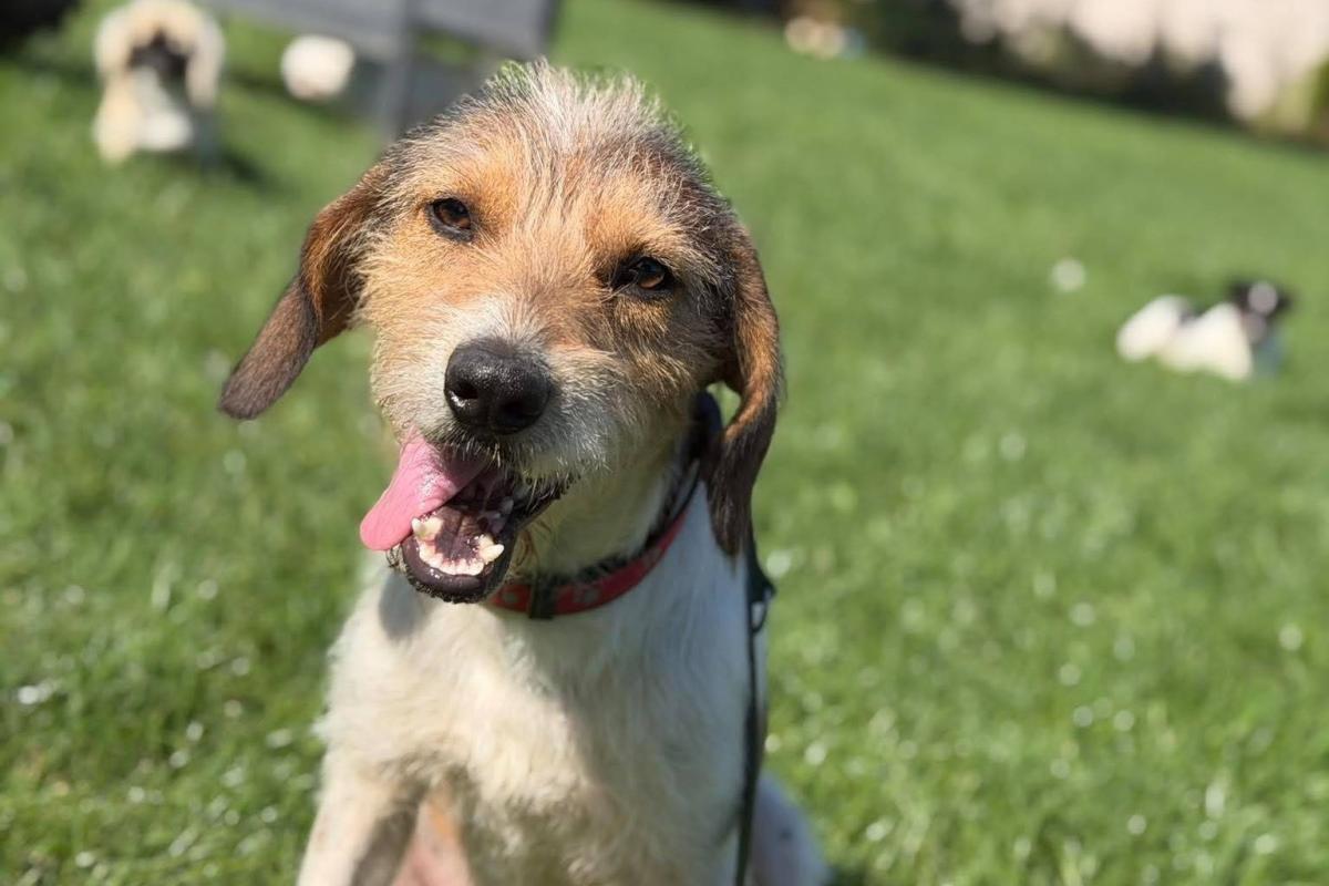 Sam