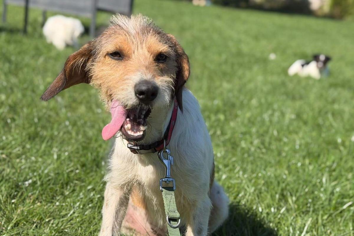 Sam