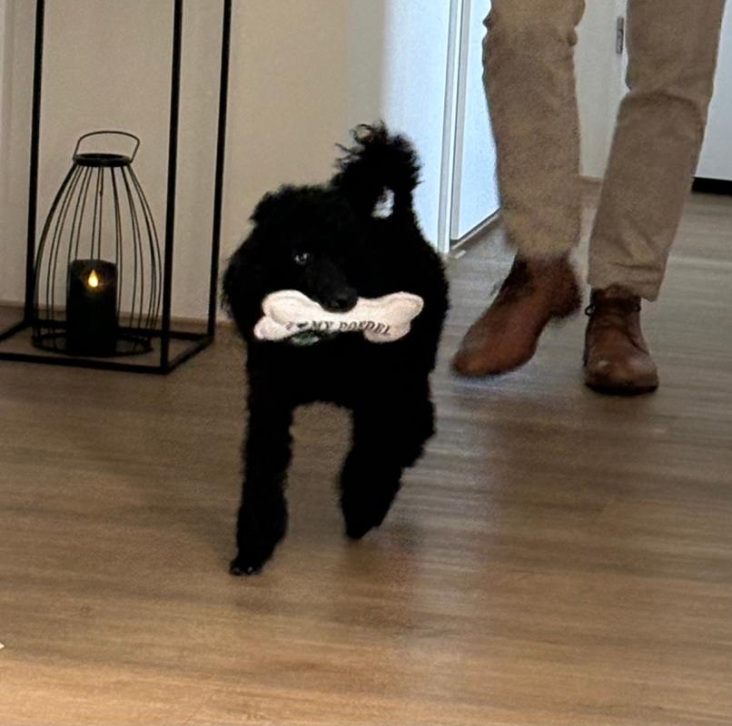 Cian