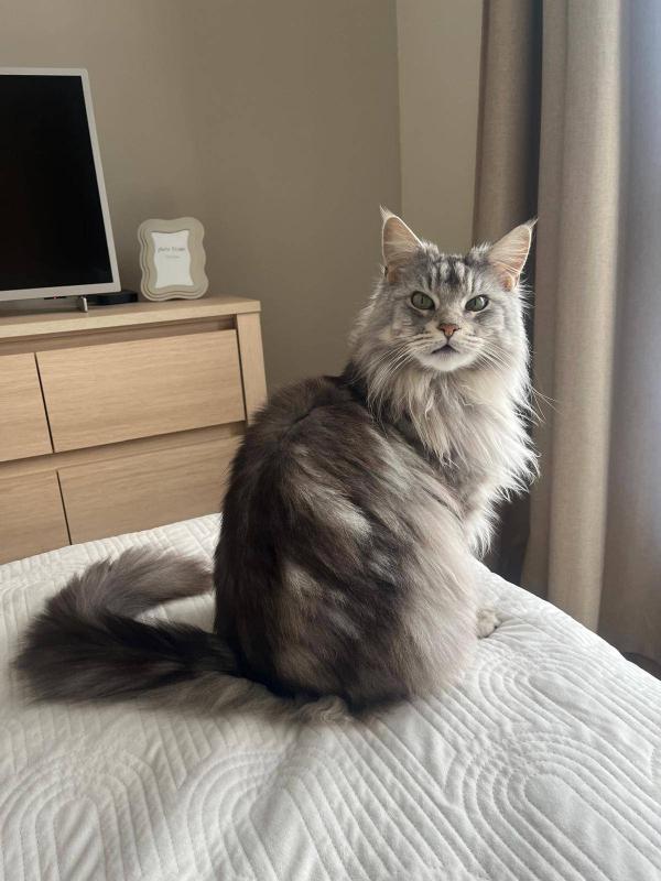 Coco