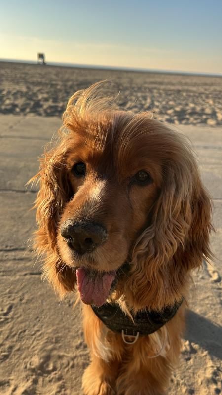 Bo