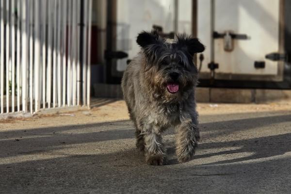 Marley