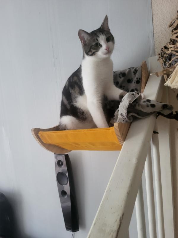 Yuki