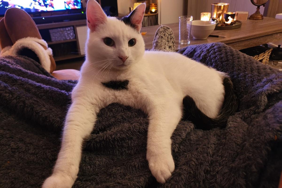 Chester