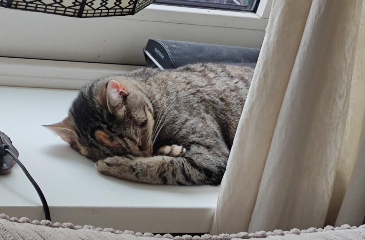Joni