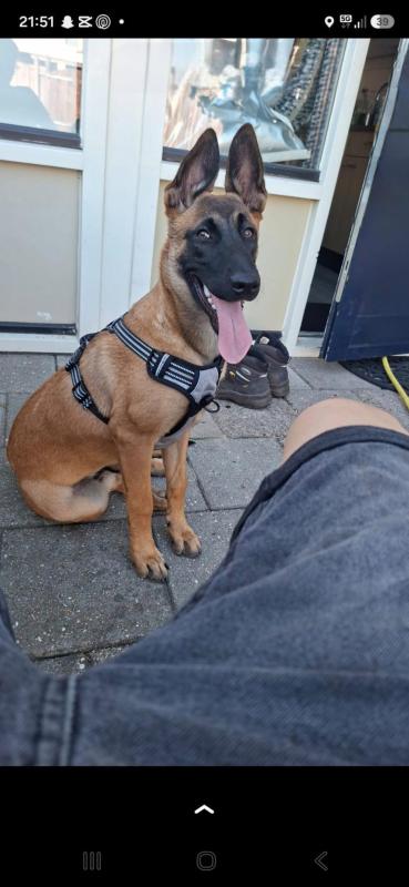 Luna