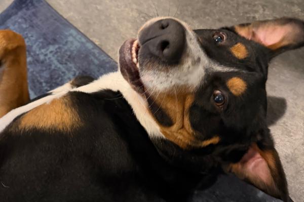 Paco