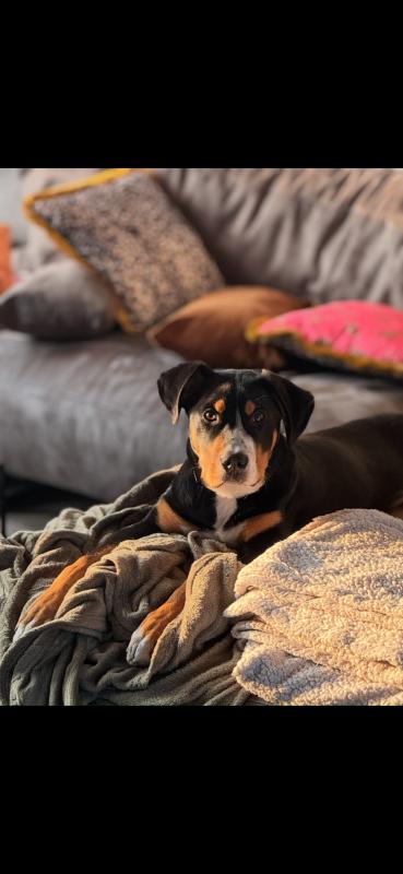 Paco