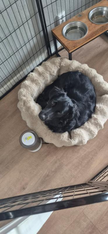 Bijke