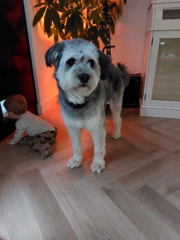 Milo