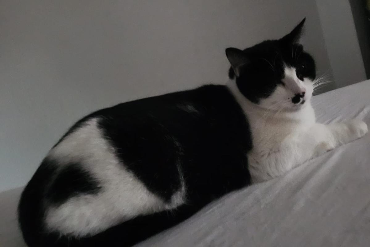 Snuf