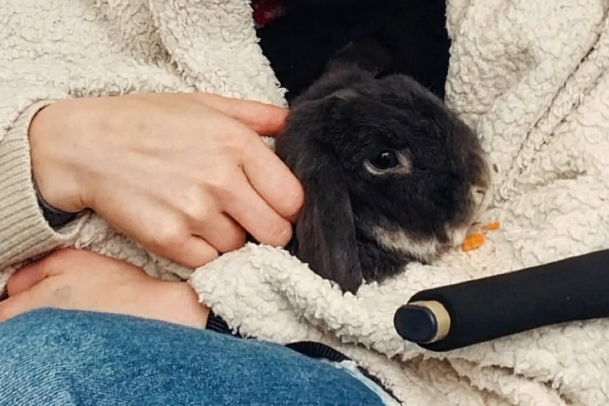 Pepper