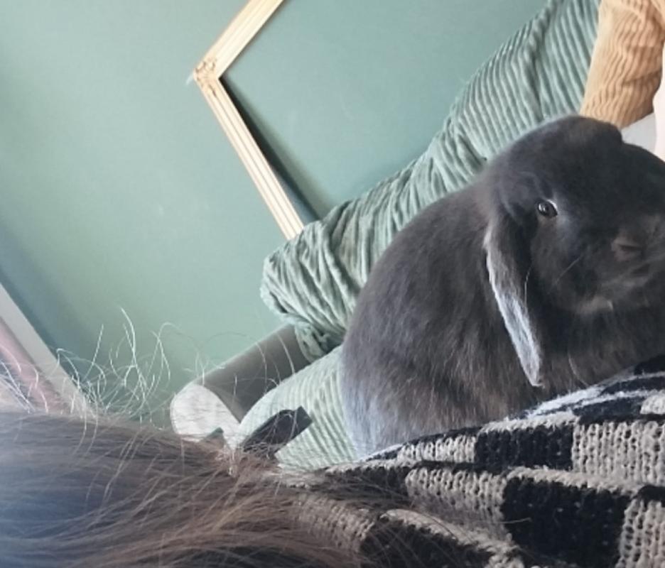 Pepper