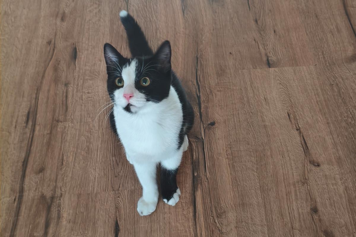 Charlie