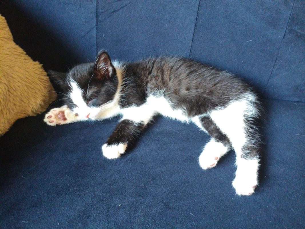 Charlie