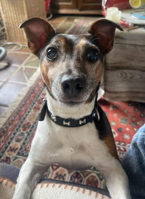 Bobbie