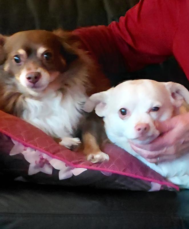 *SPOED* Binky en Paco