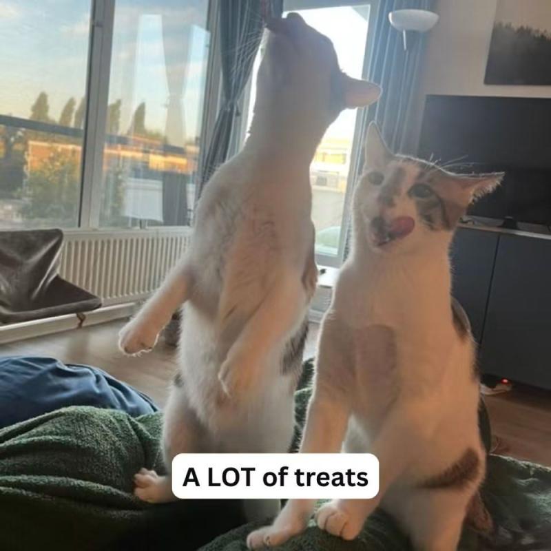 Marcel